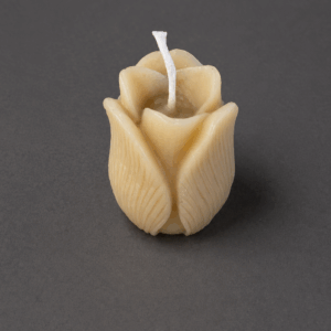 Tulip Beeswax Candle